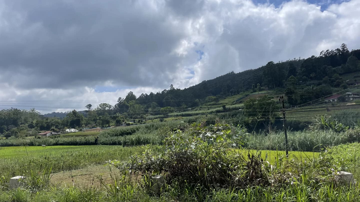Bogahakumbura