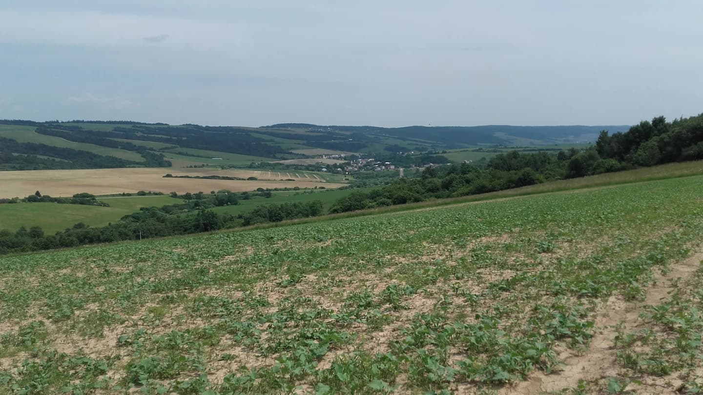 Bogliarka