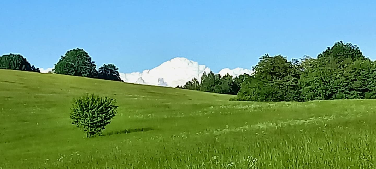 Zlaté