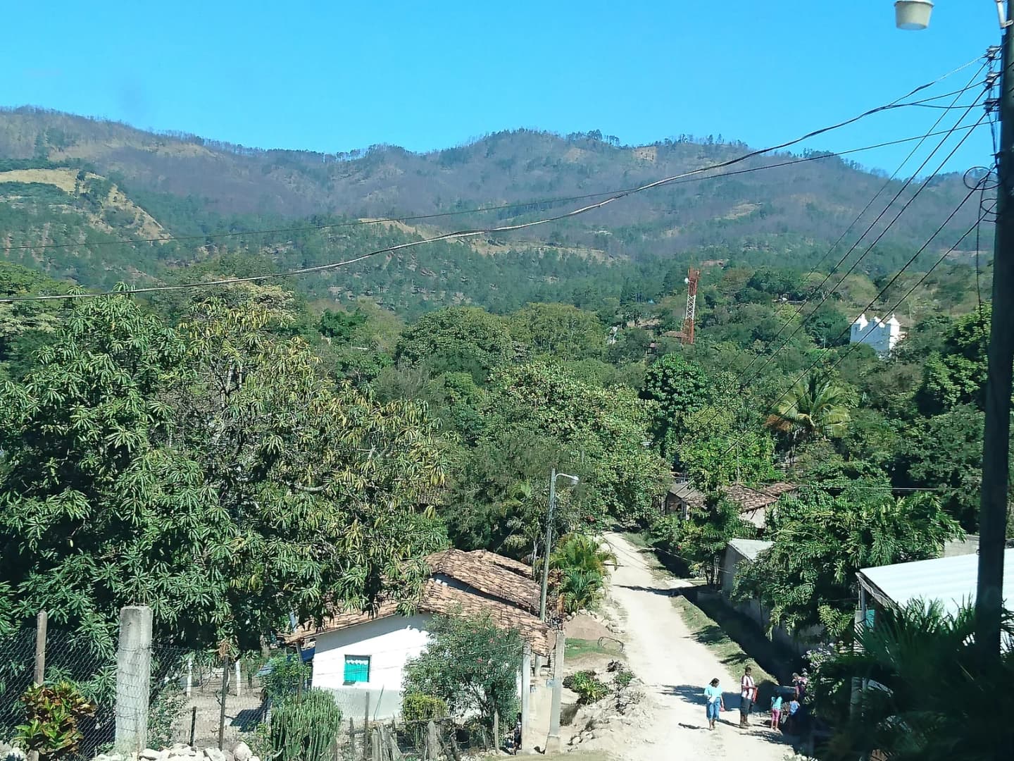 Esquías