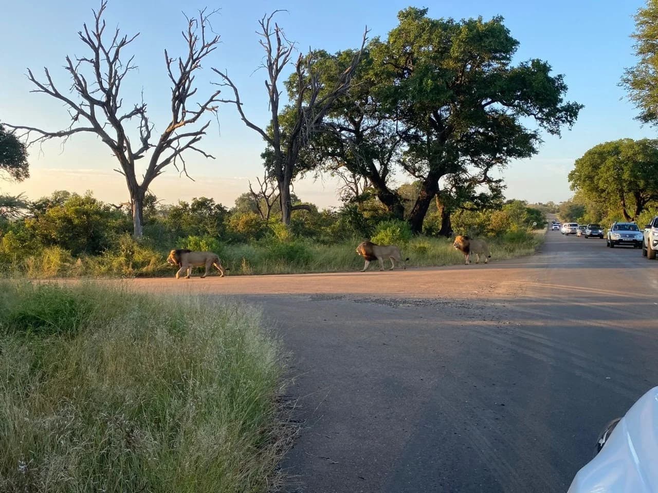 Krugersdorp