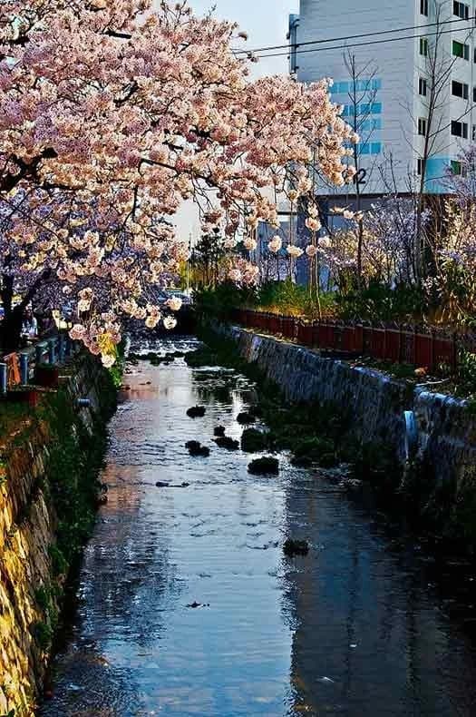 Changwon