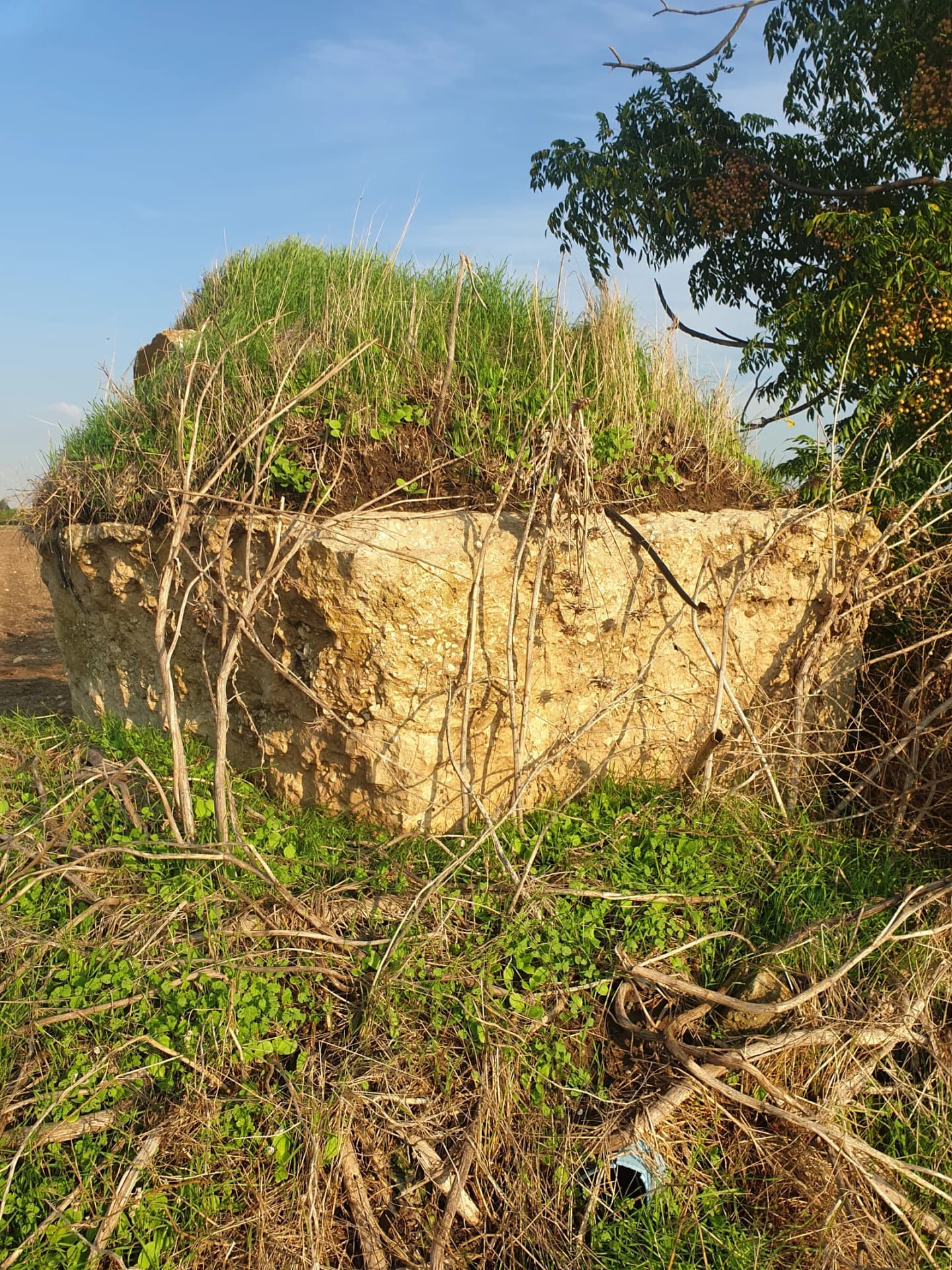Kfar Warburg