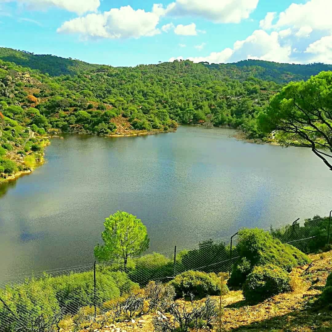 Çallı