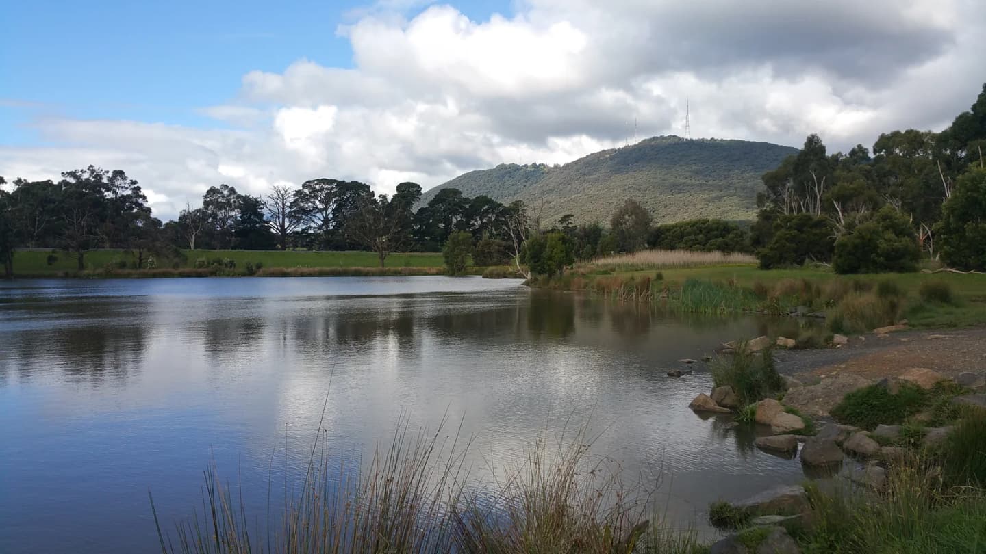 The Basin