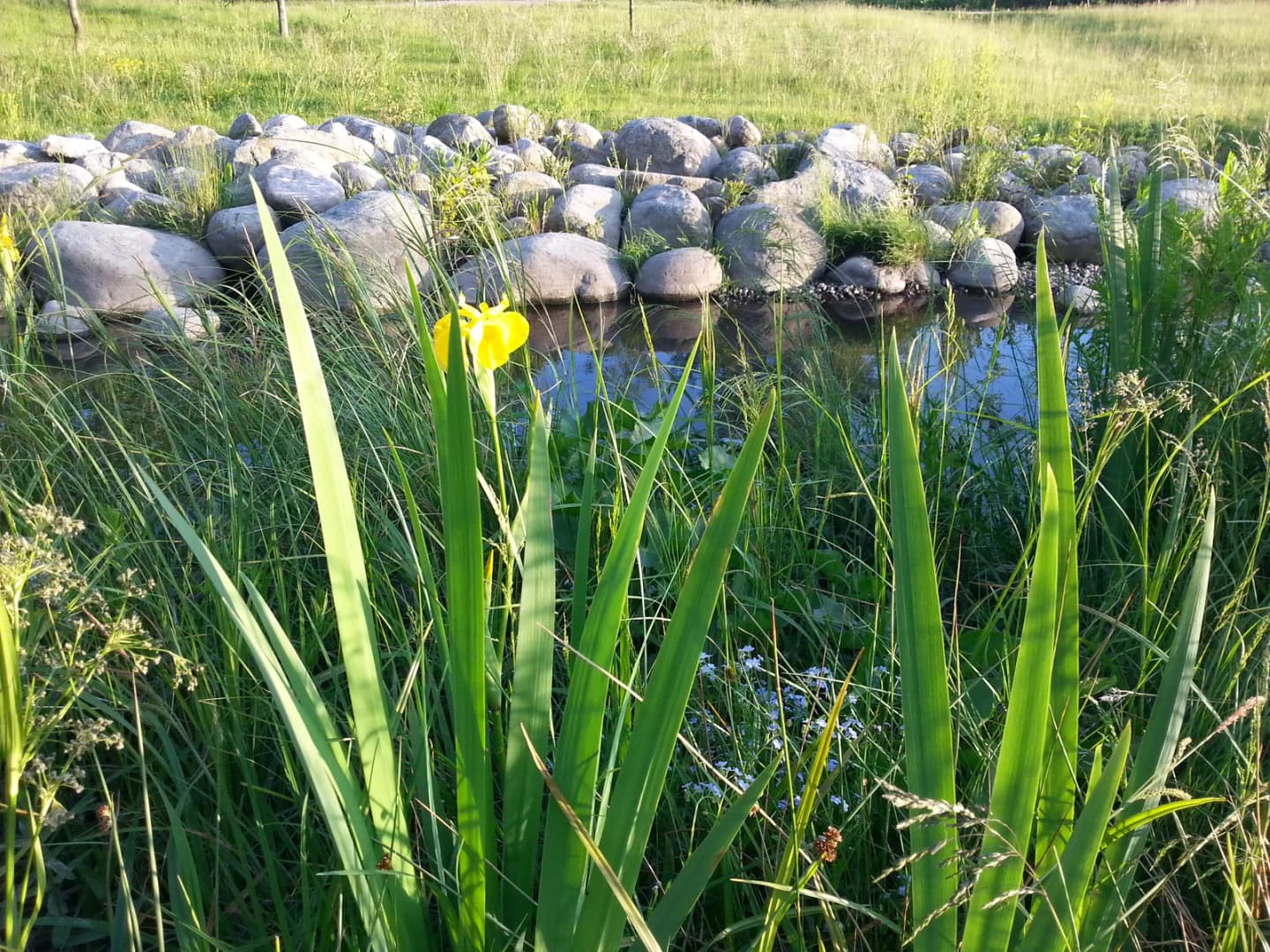 Mellunkylä