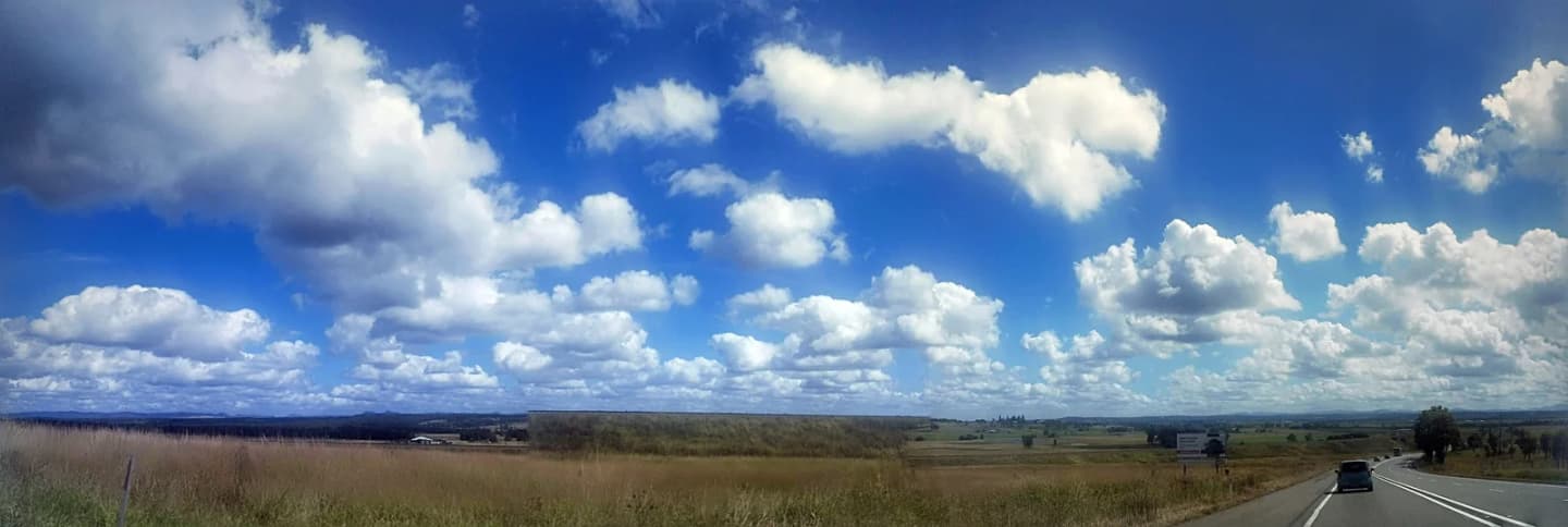 Whittingham
