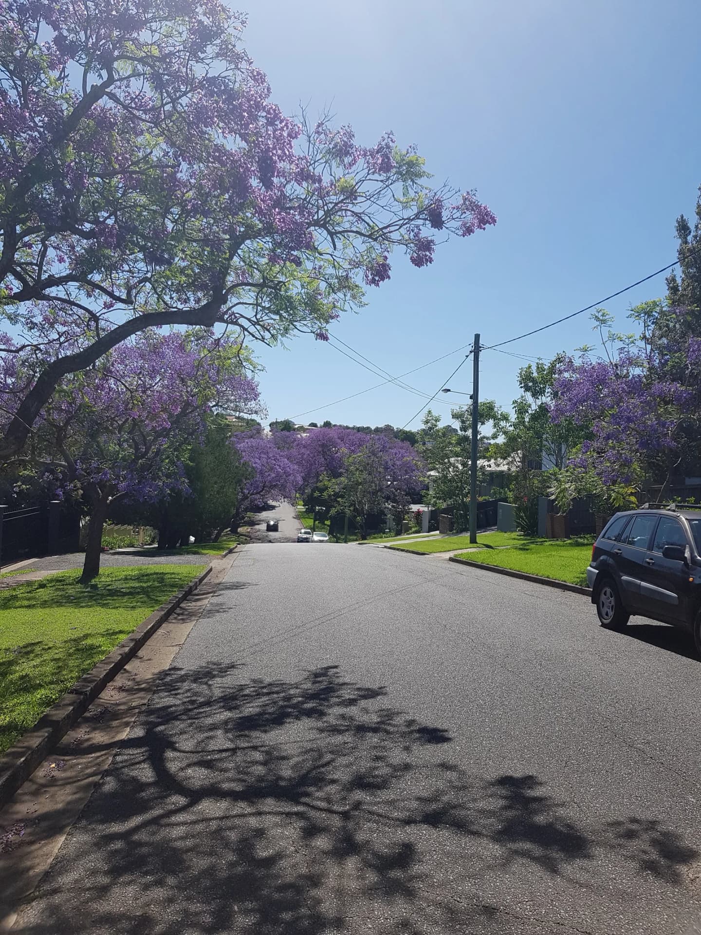 Tarragindi