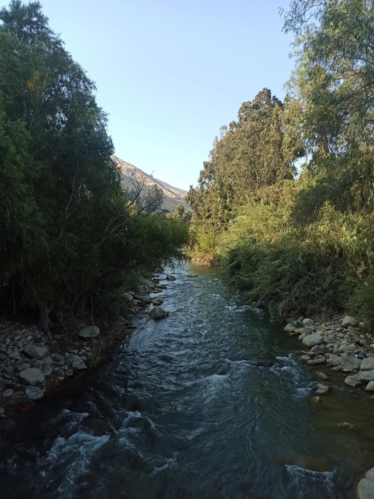 Sayán