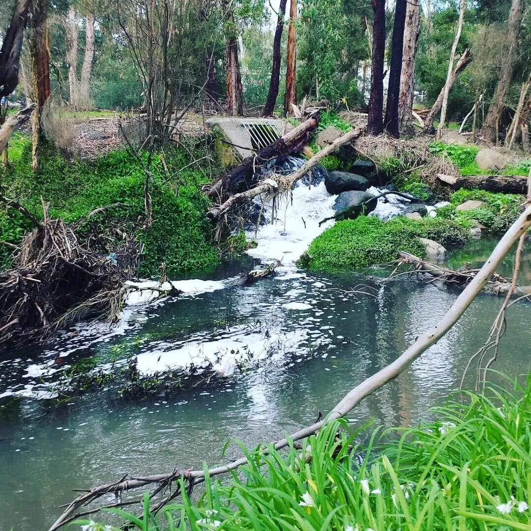 Wonga Park