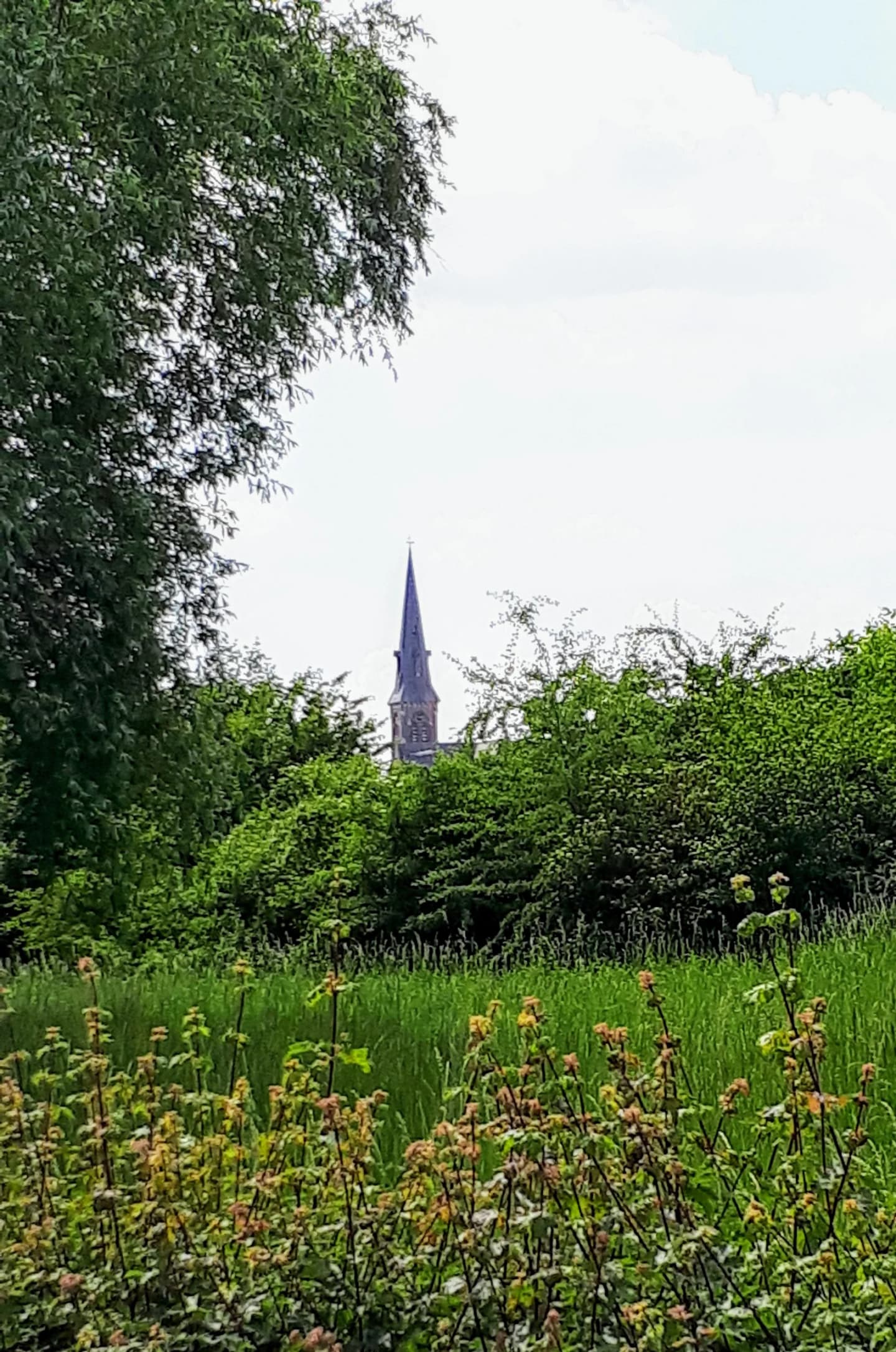 Sint-Stevens-Woluwe