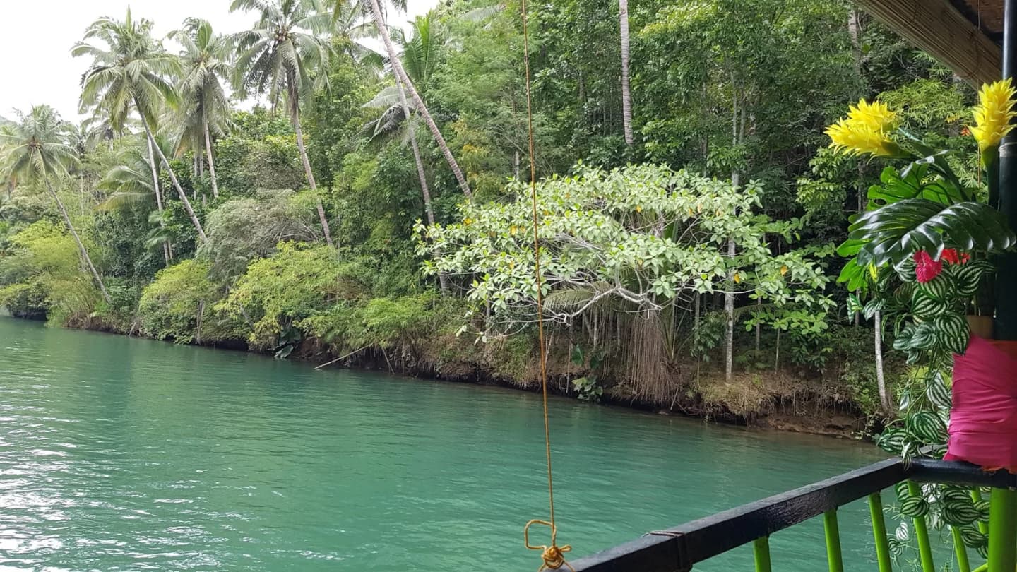Loboc