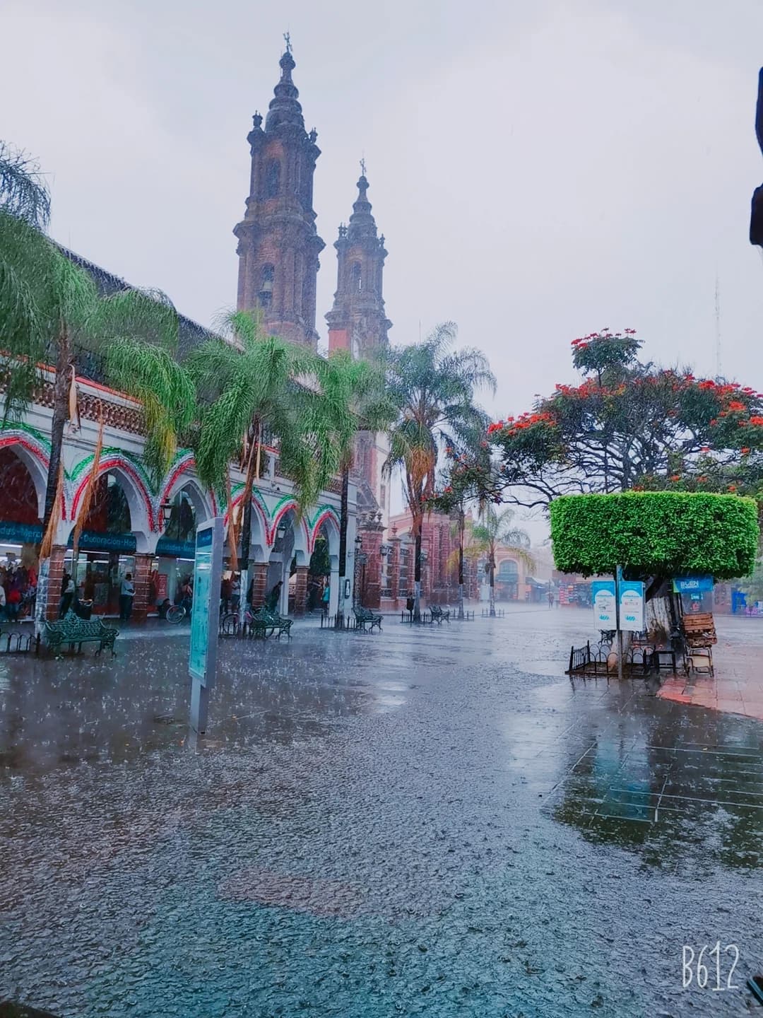 Zamora de Hidalgo