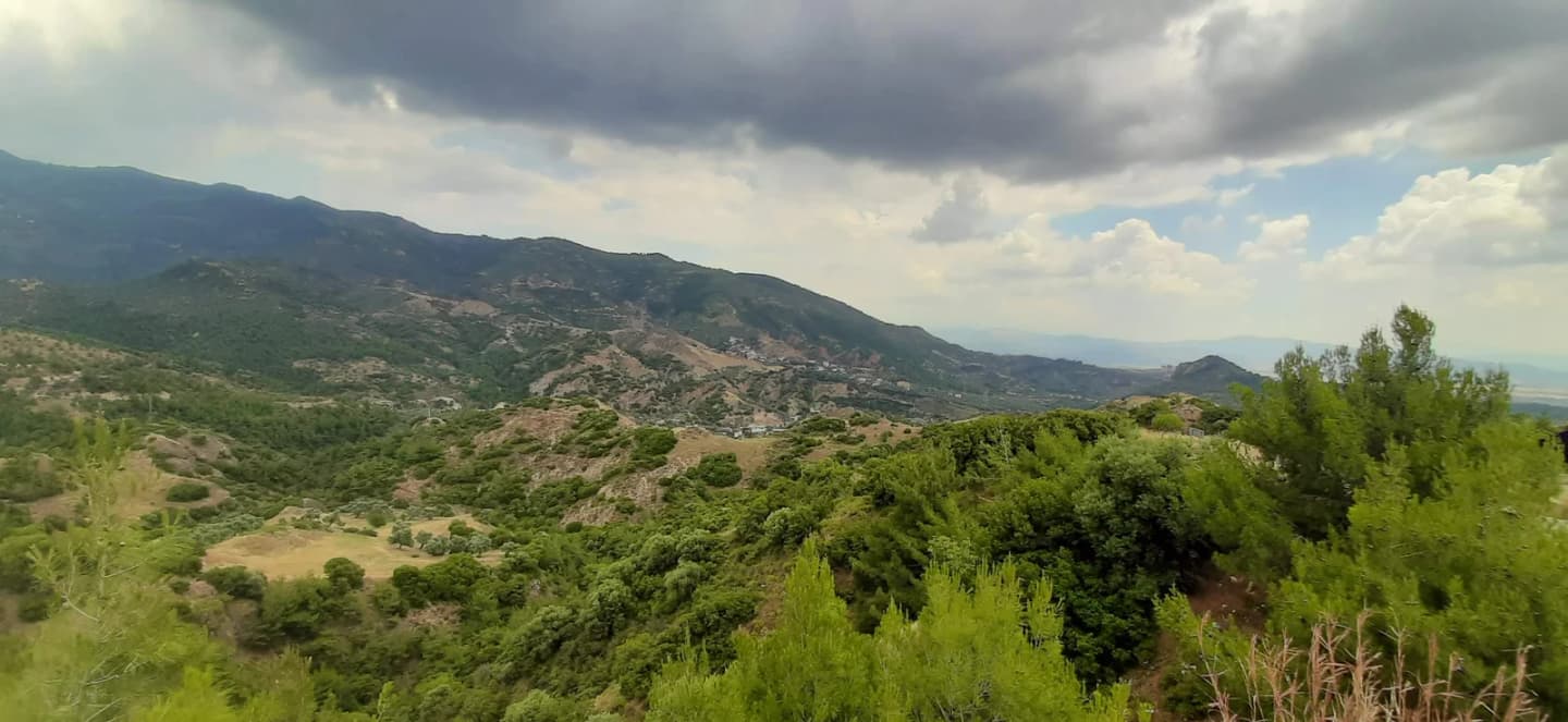 Horozköy