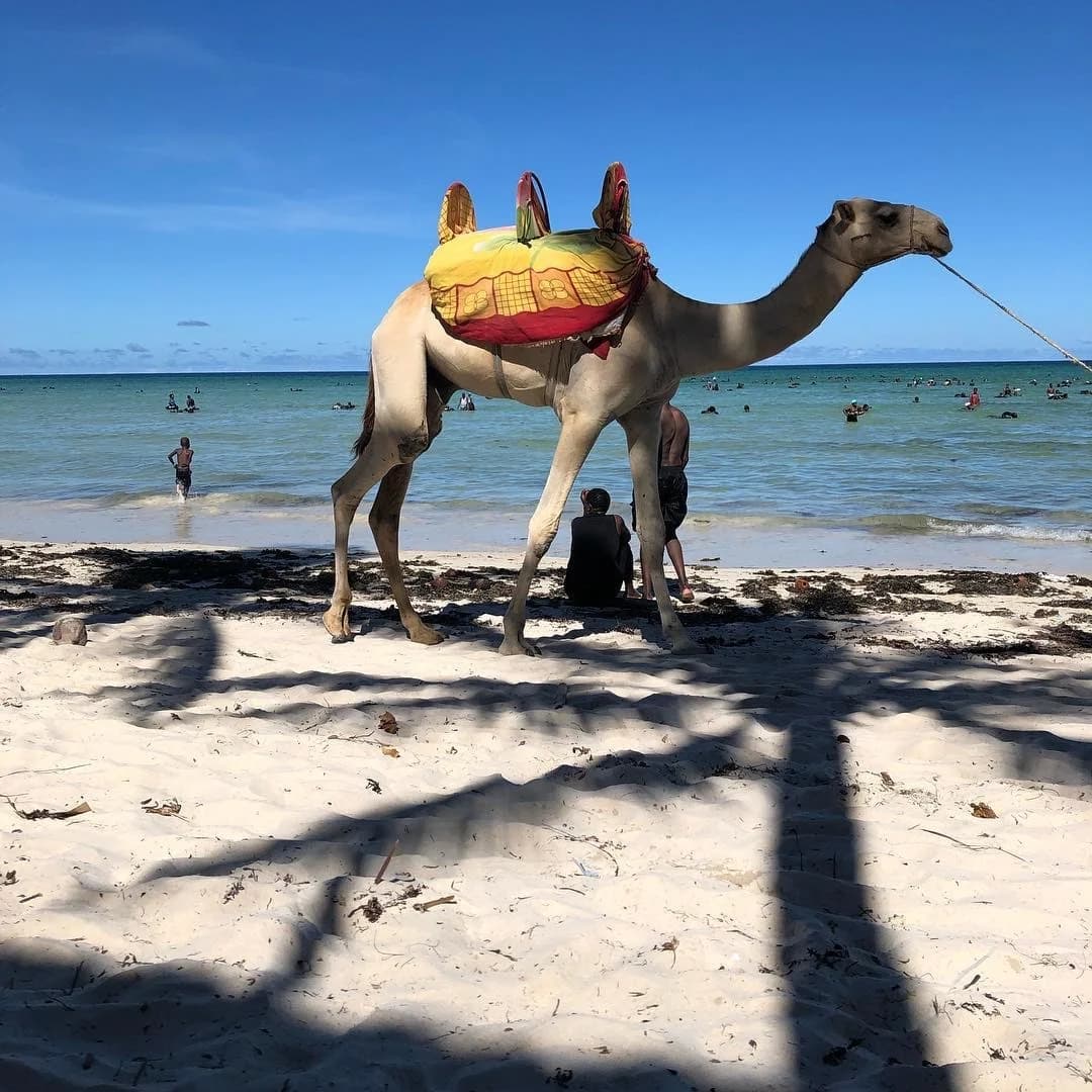 Mombasa County