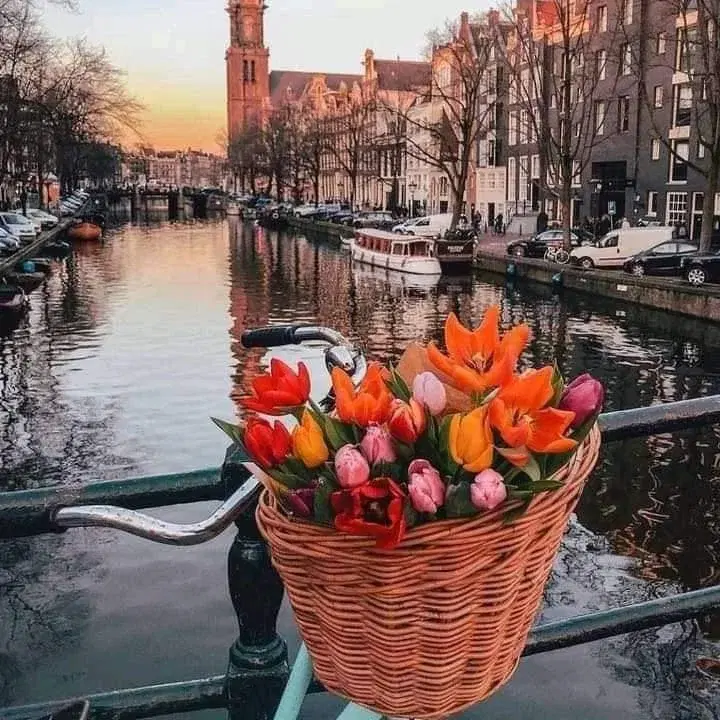 Place