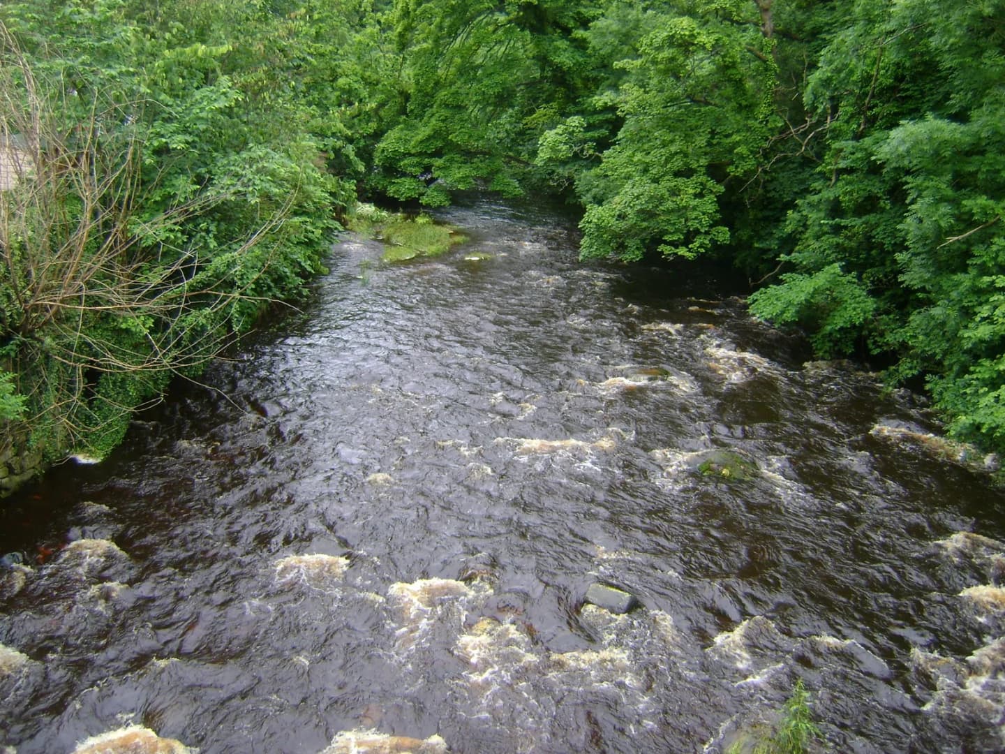 Colinton