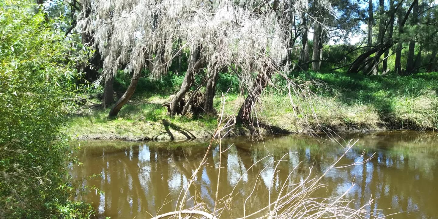 Yarrowyck