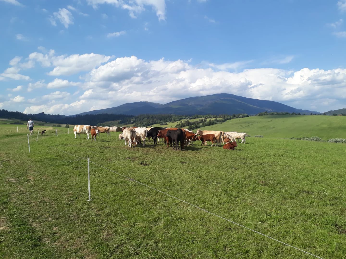 Oravská Polhora