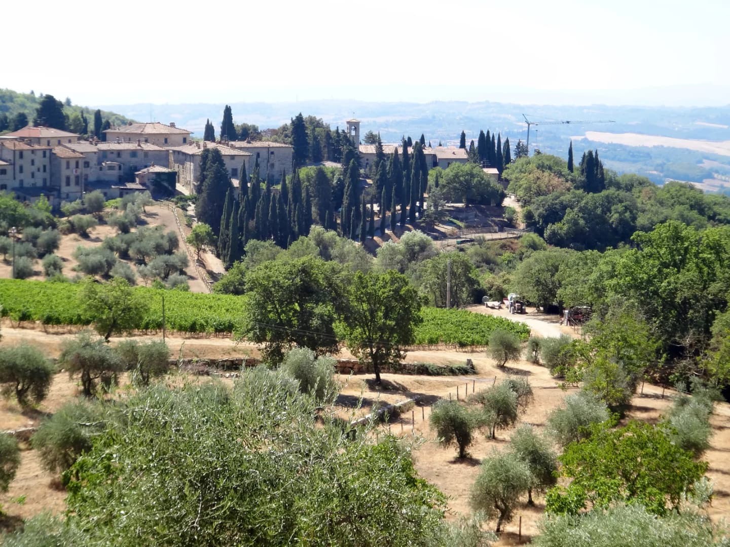 Castellina in Chianti