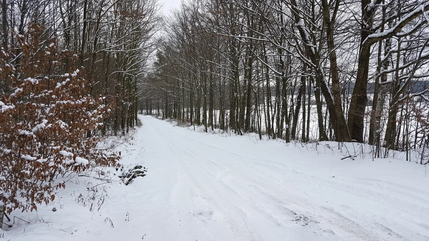 Wilamowice Nyskie