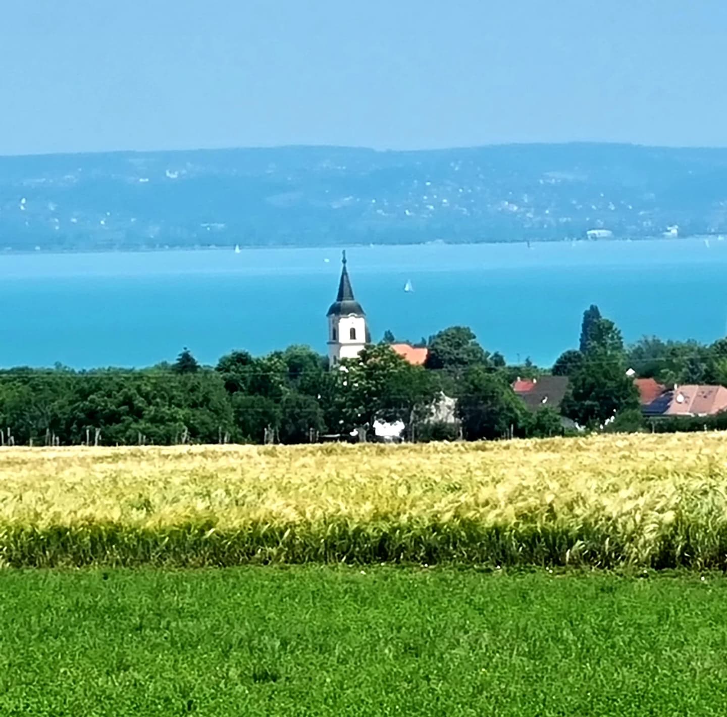 Zamárdi