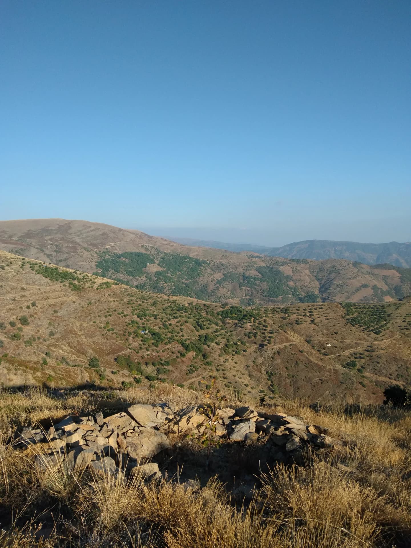 Akçaköy