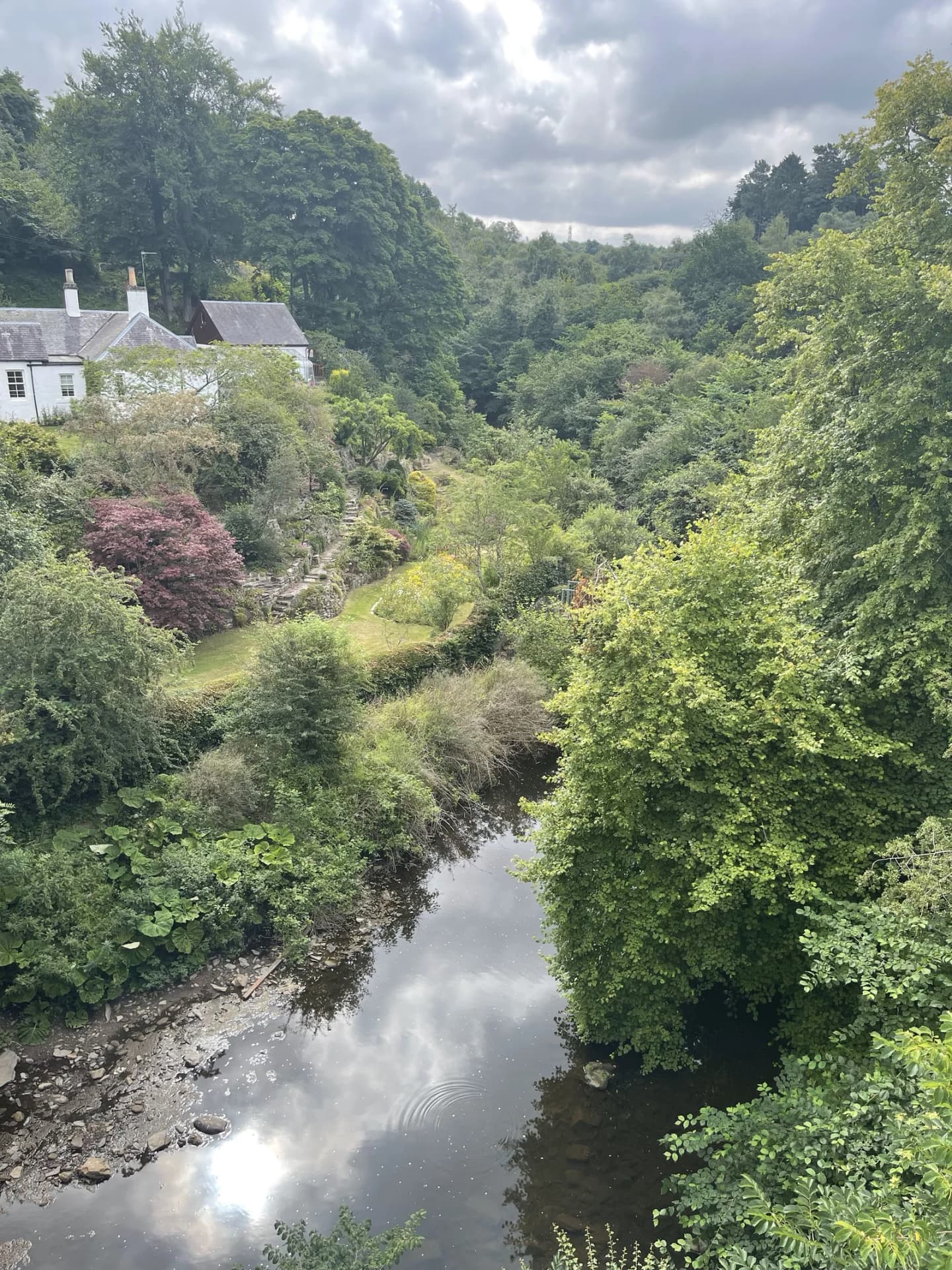 Mid Calder