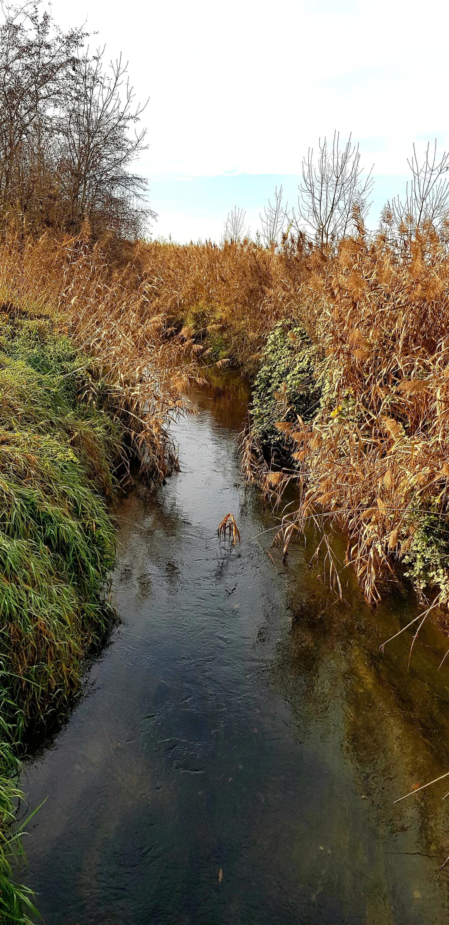 Holzheim bei Oder