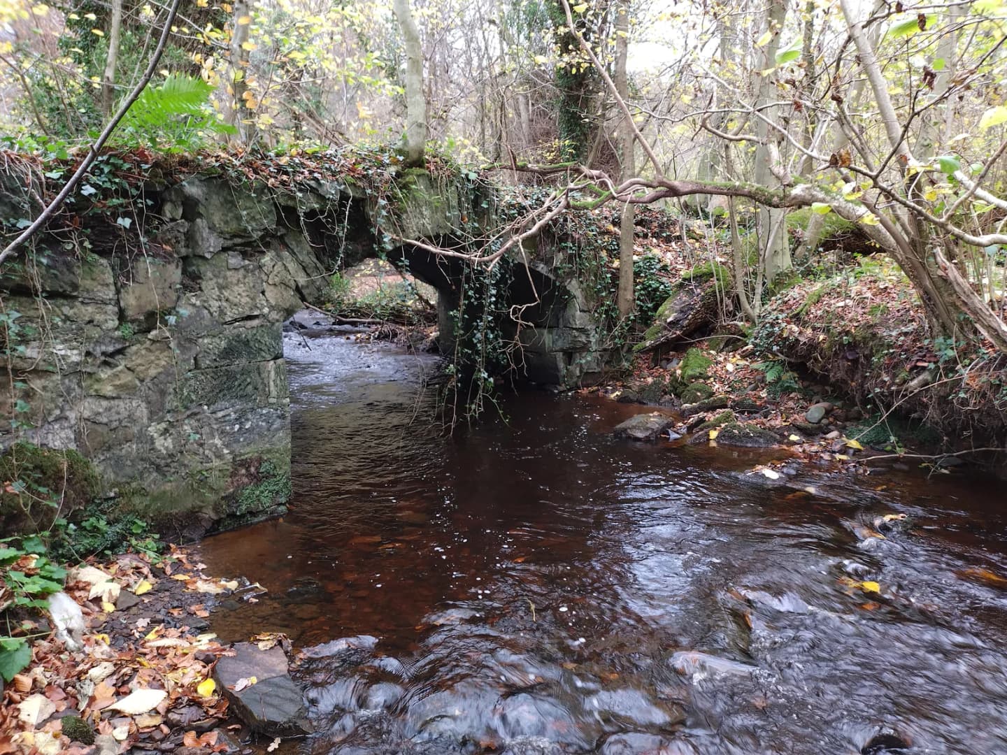 Galston
