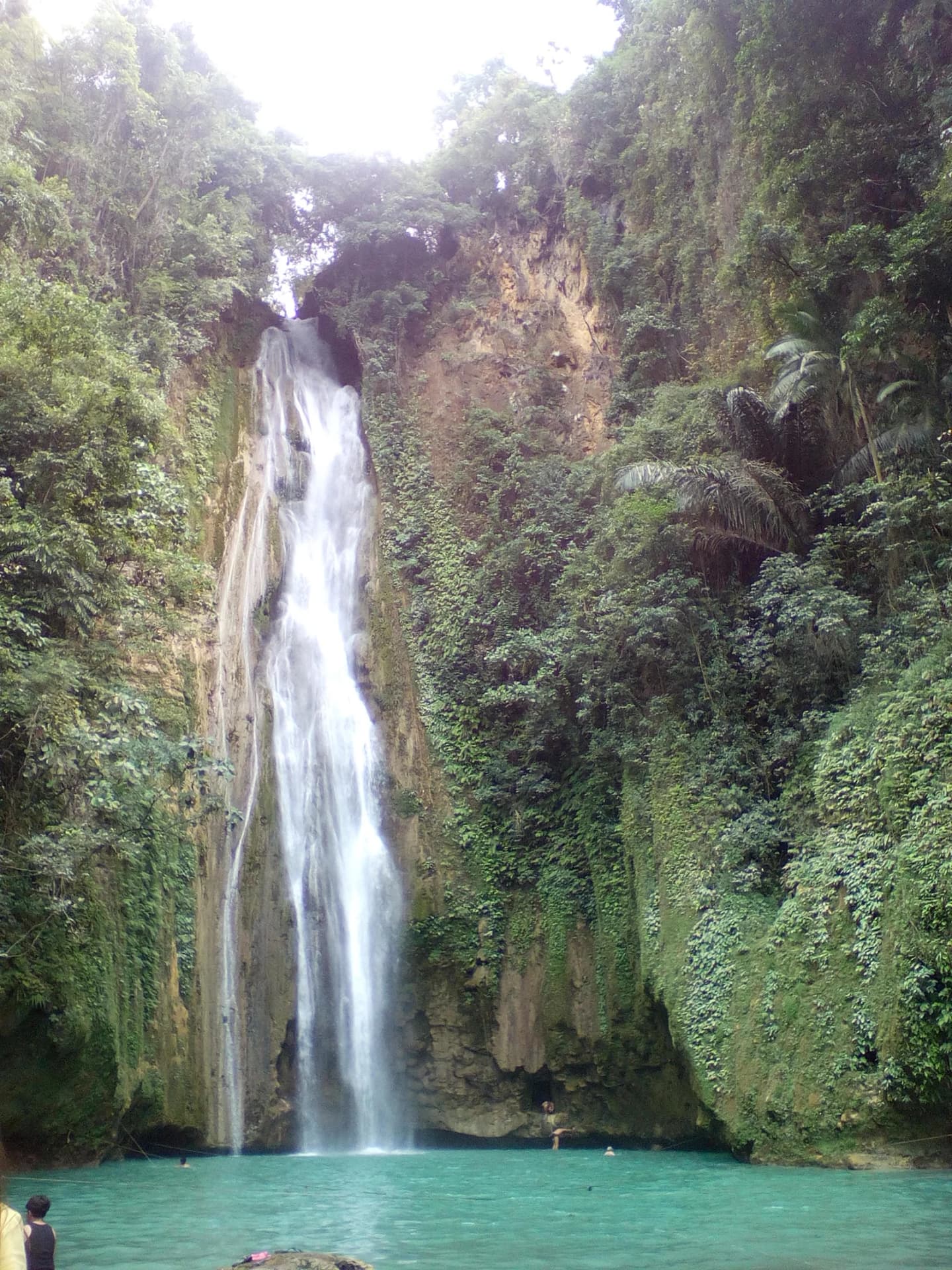 Barili