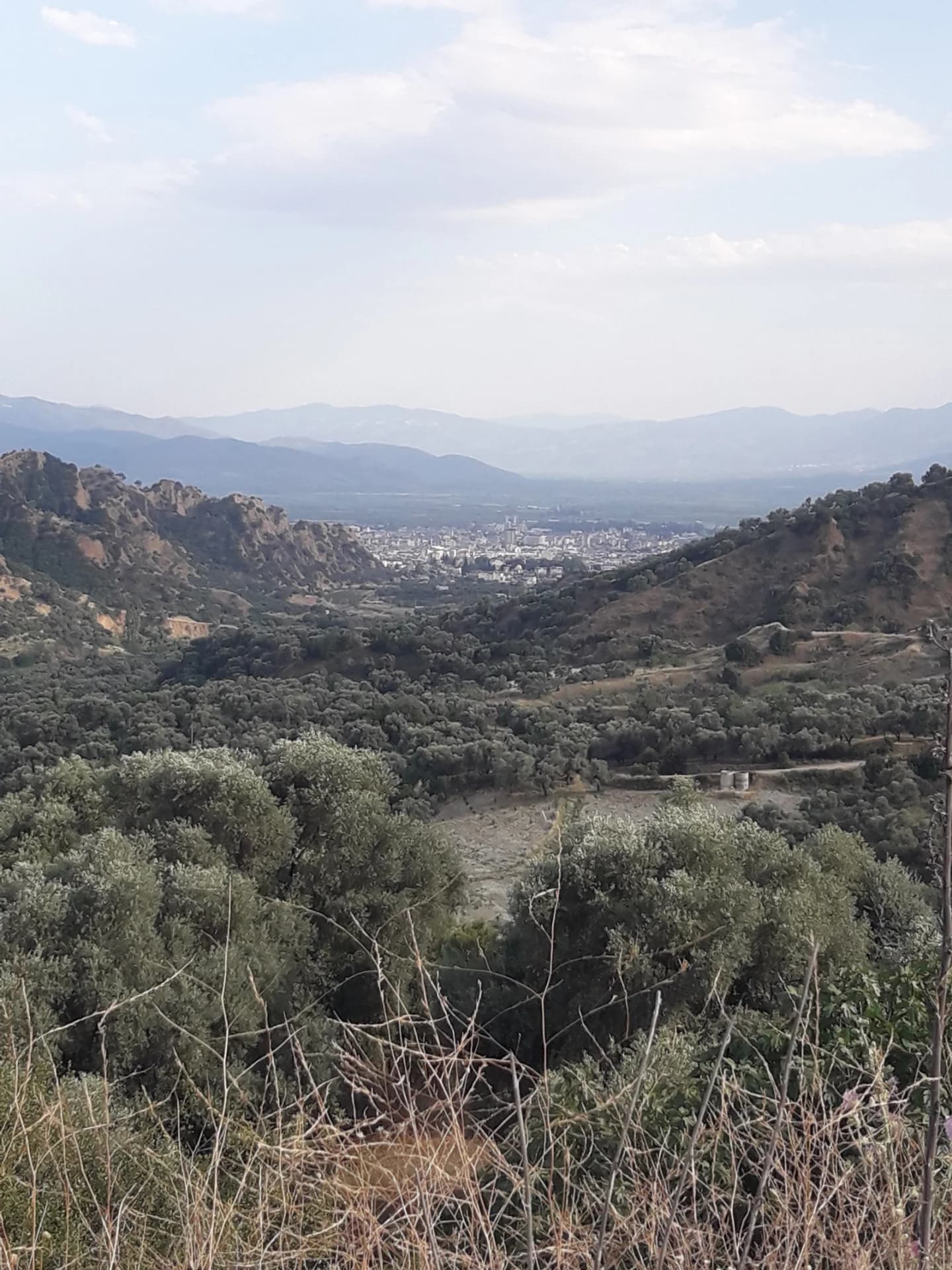 Samailli
