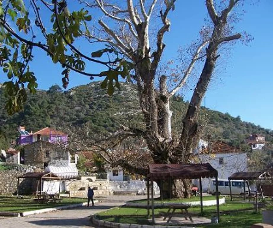 Selâtin