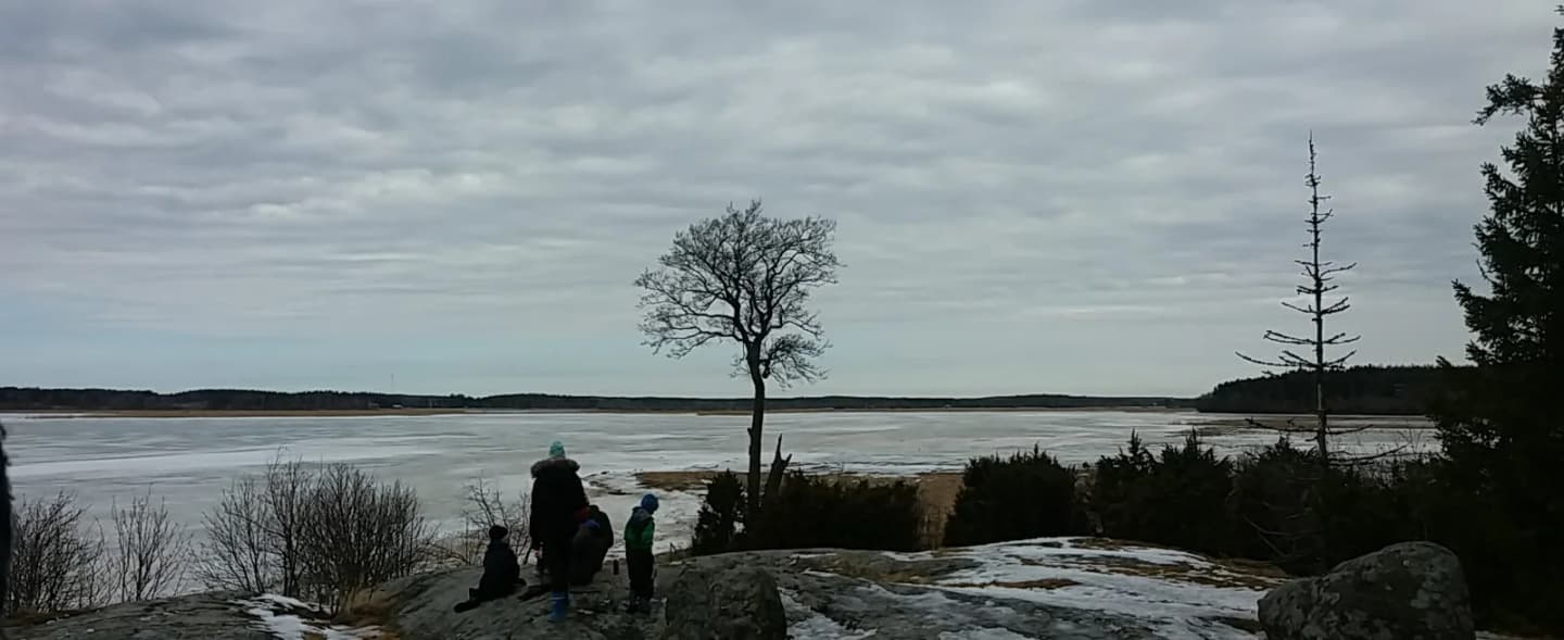 Mietoinen