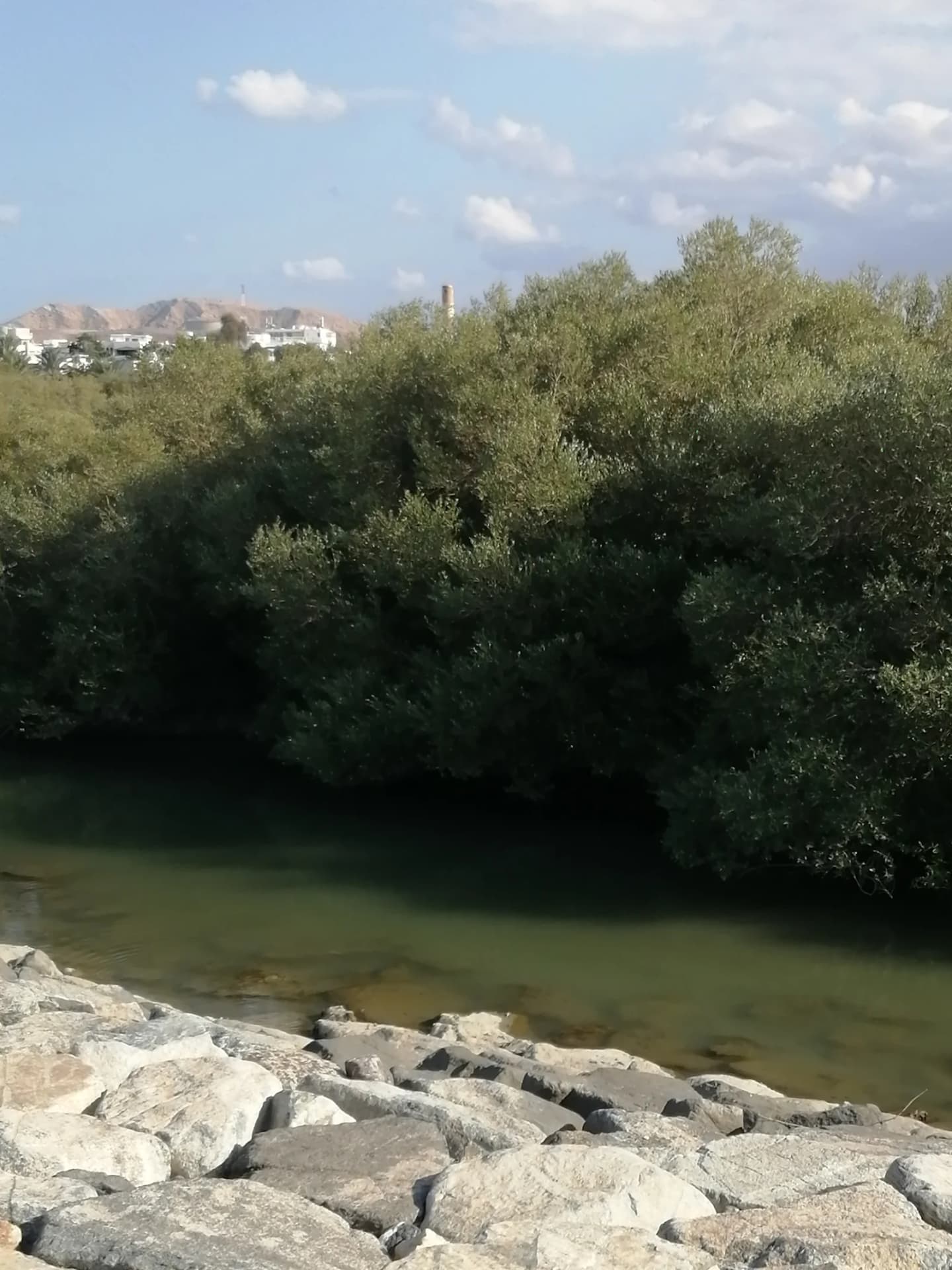 Place