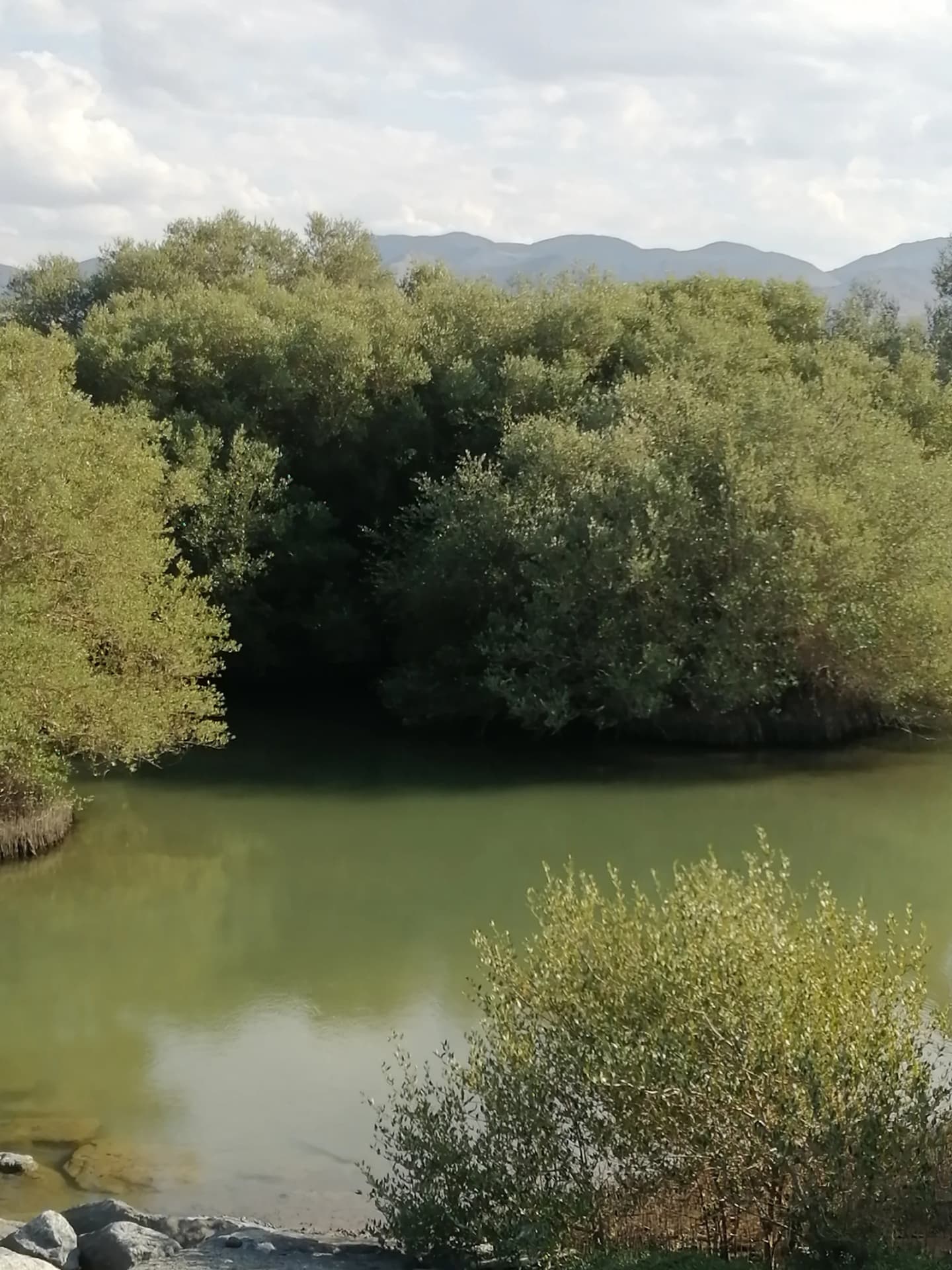 Place