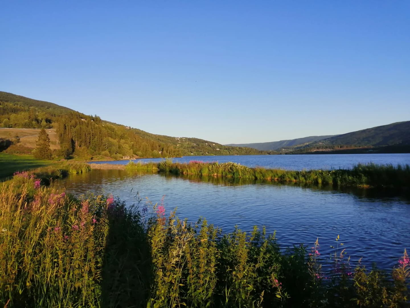 Fagernes