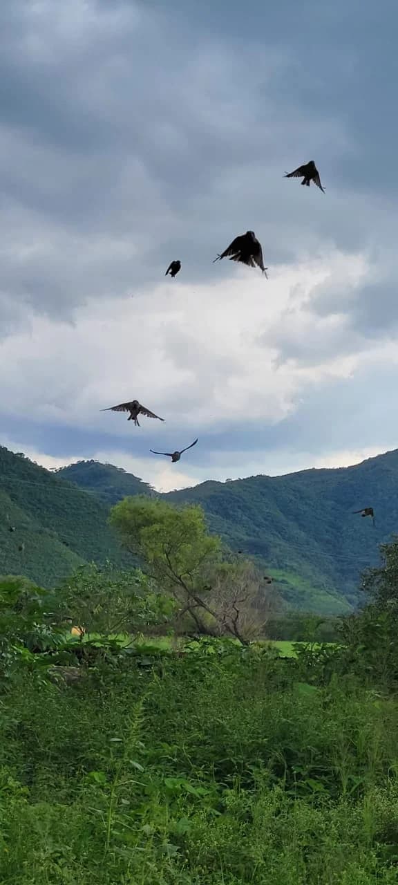 La Garita