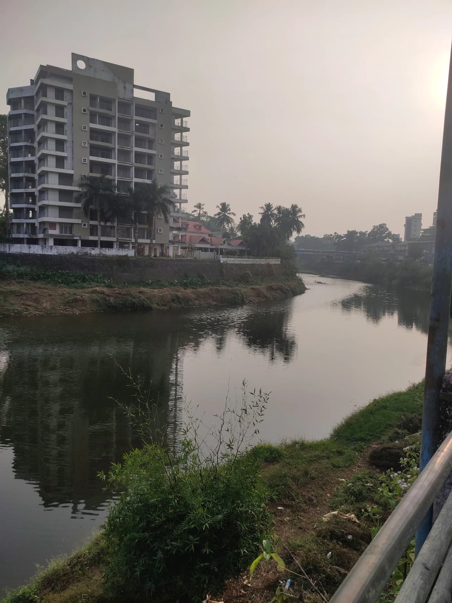 Palai