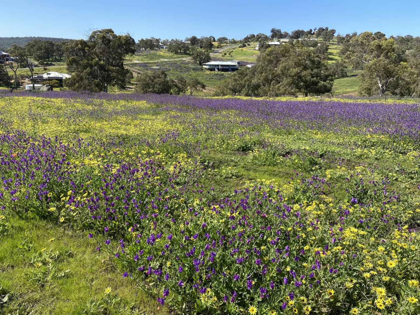 Bullsbrook
