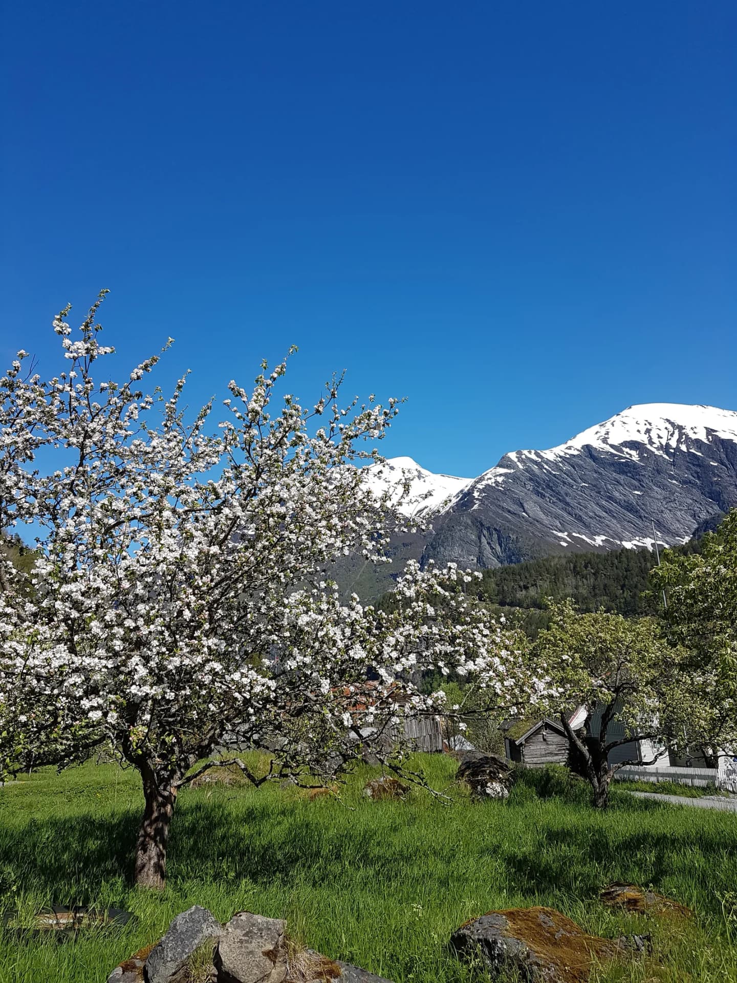 Tafjord