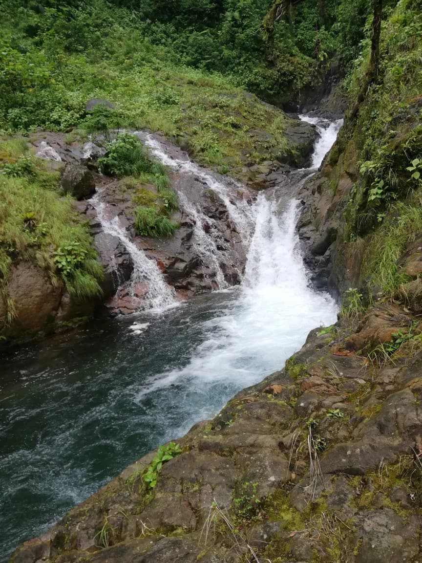 Upala