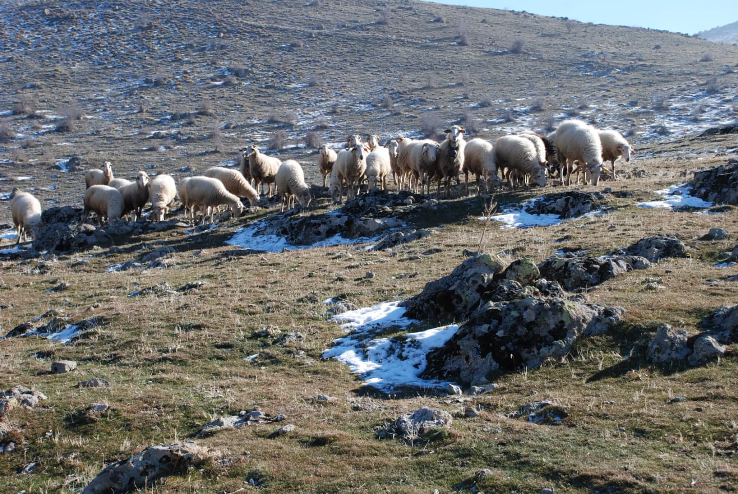 Kızık
