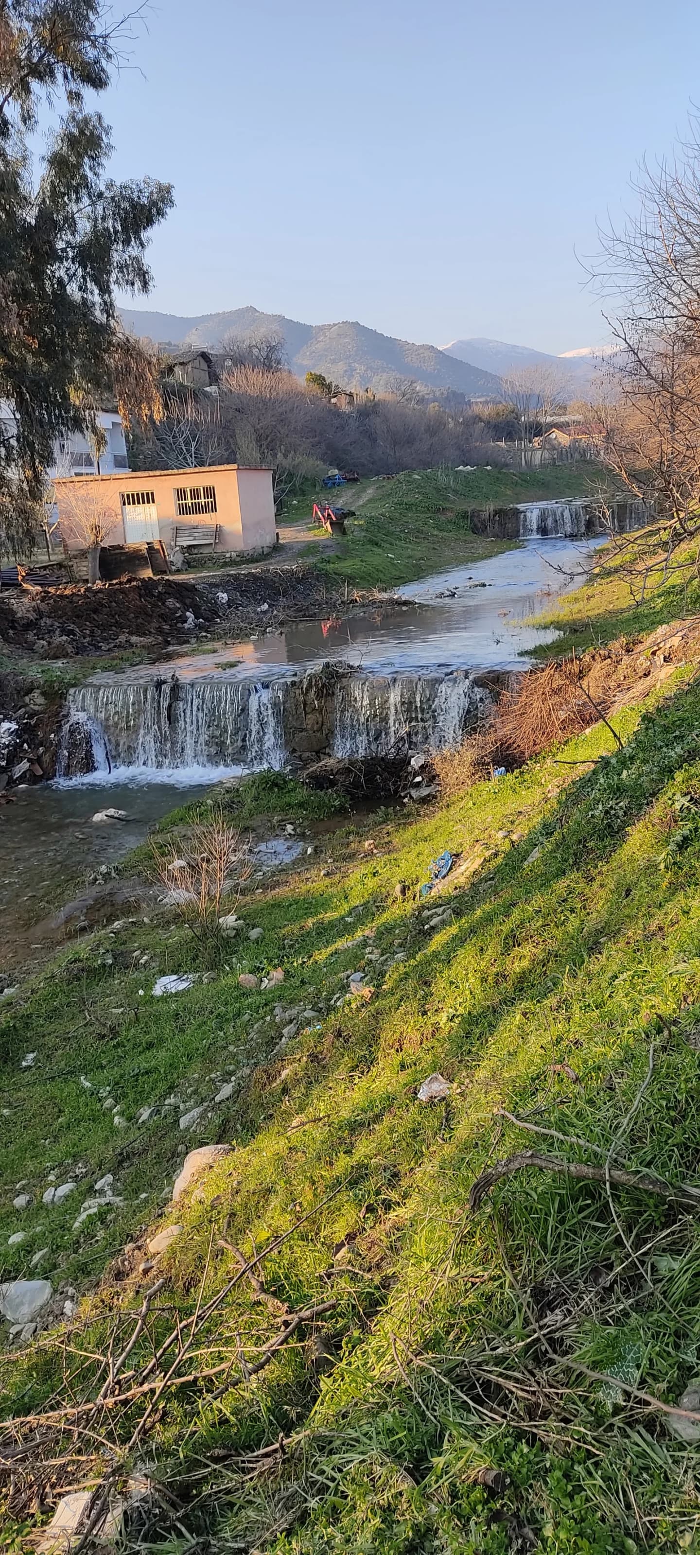 İsabeyli