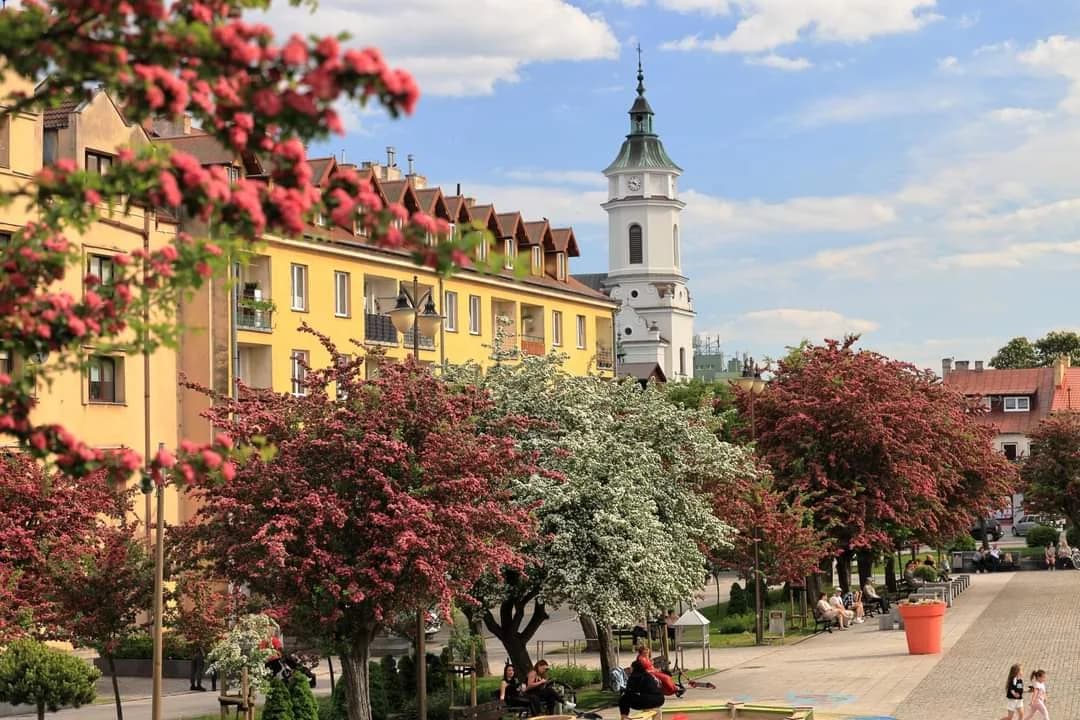 Ostrowiec Świętokrzyski