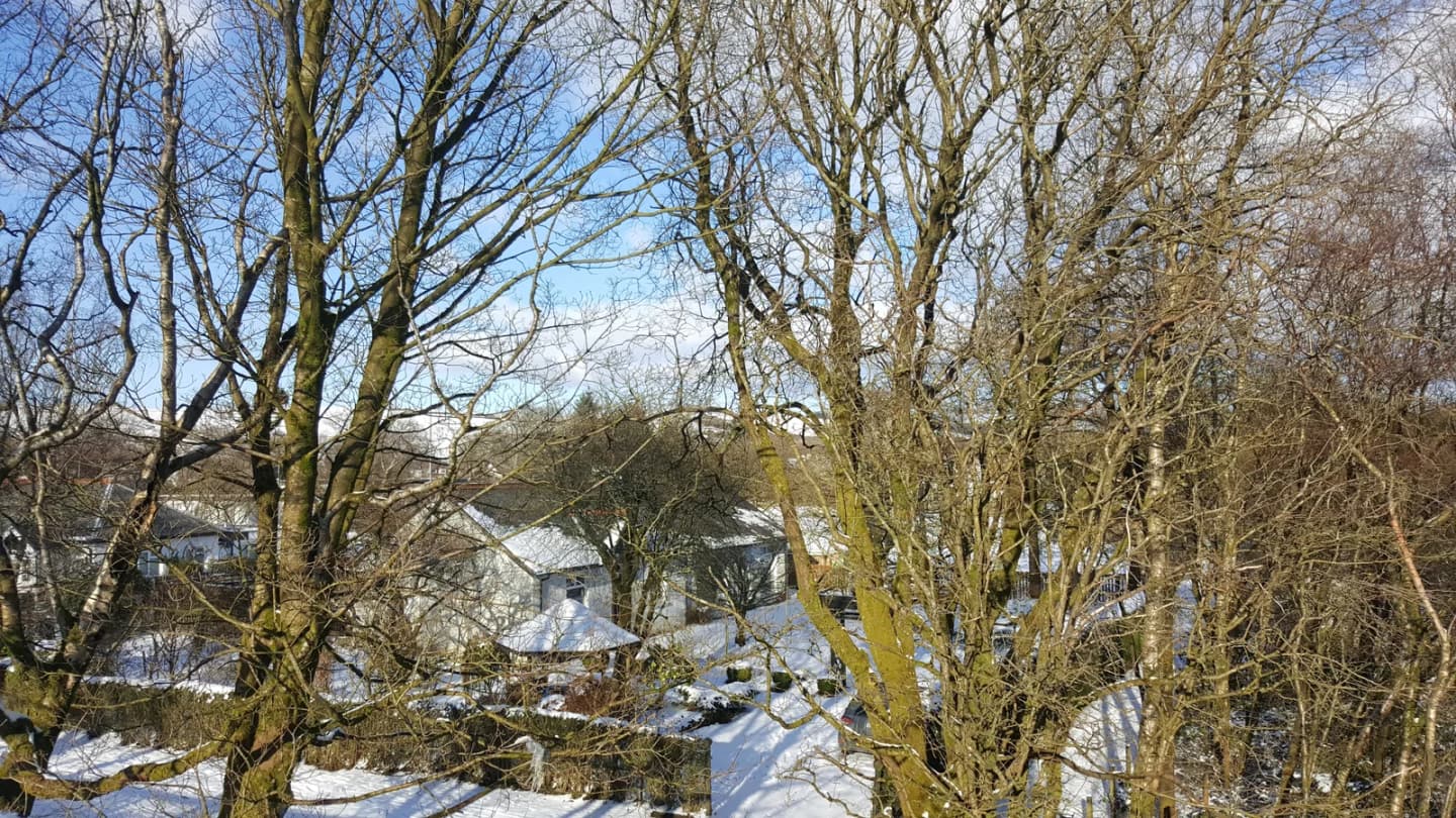 Uplawmoor