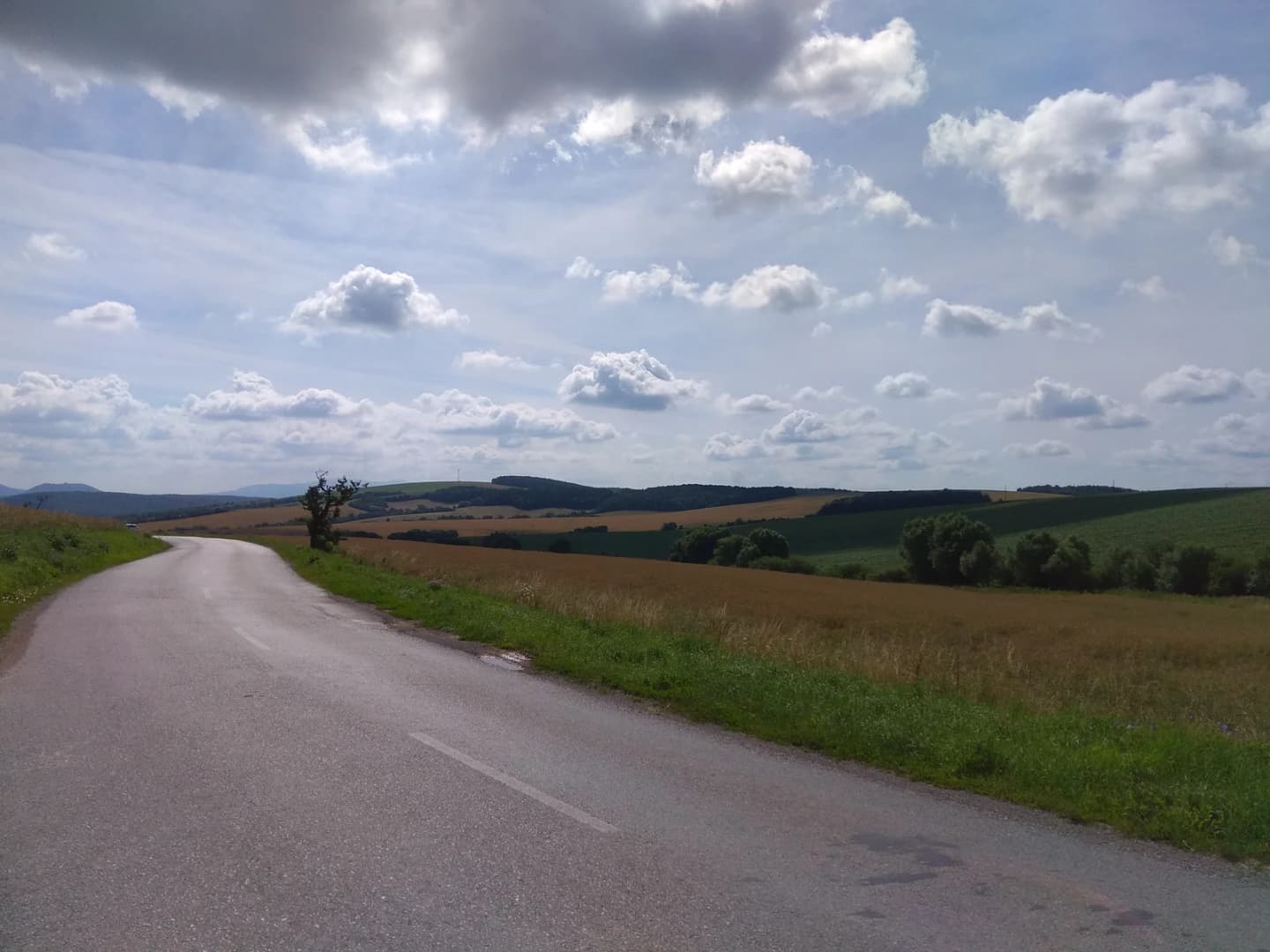 Jarovnice