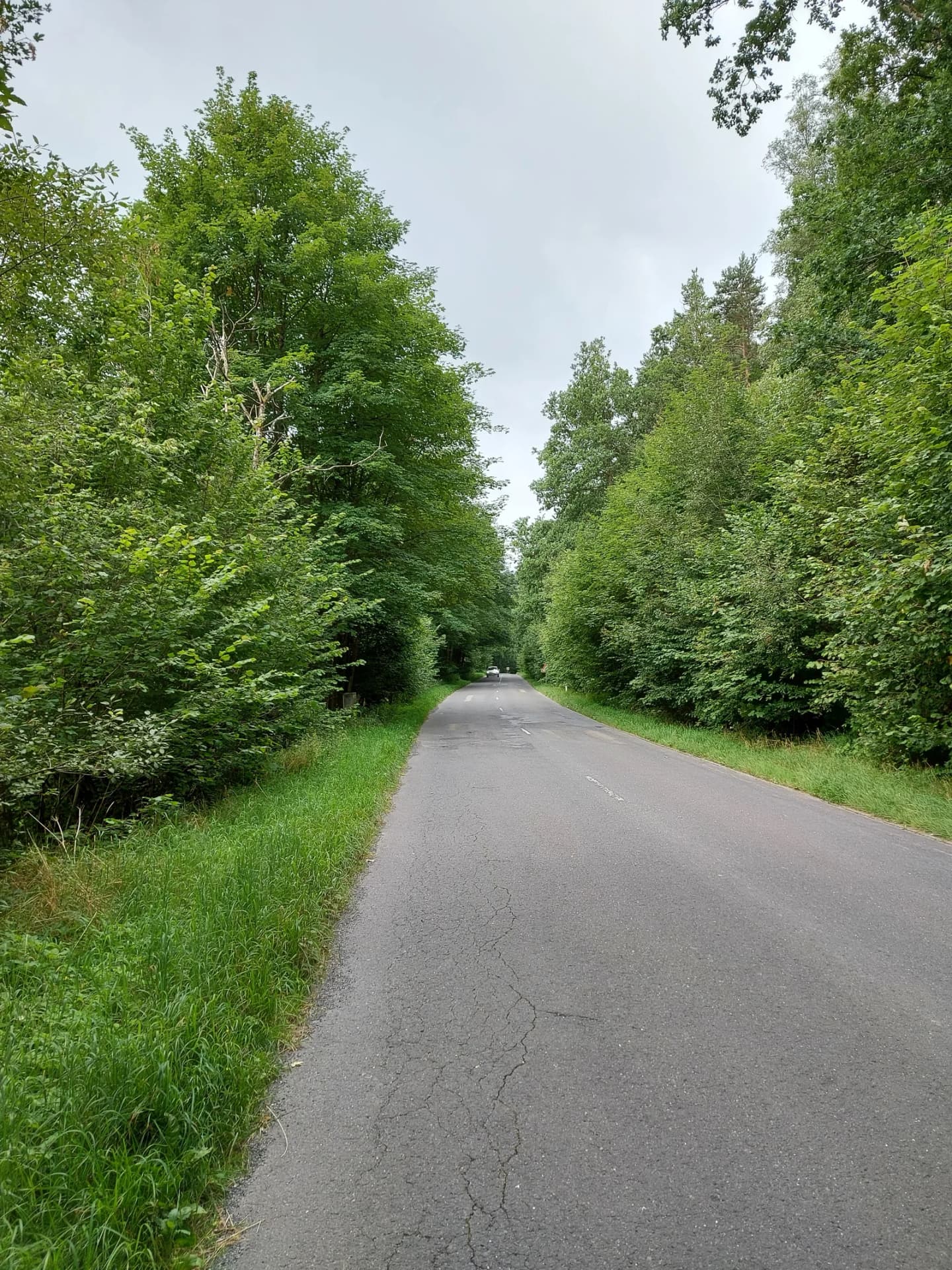 Saint-Hubert
