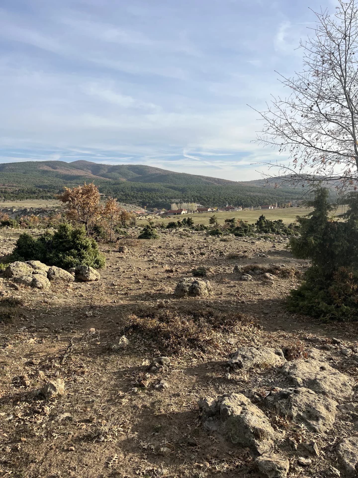 Basırlar