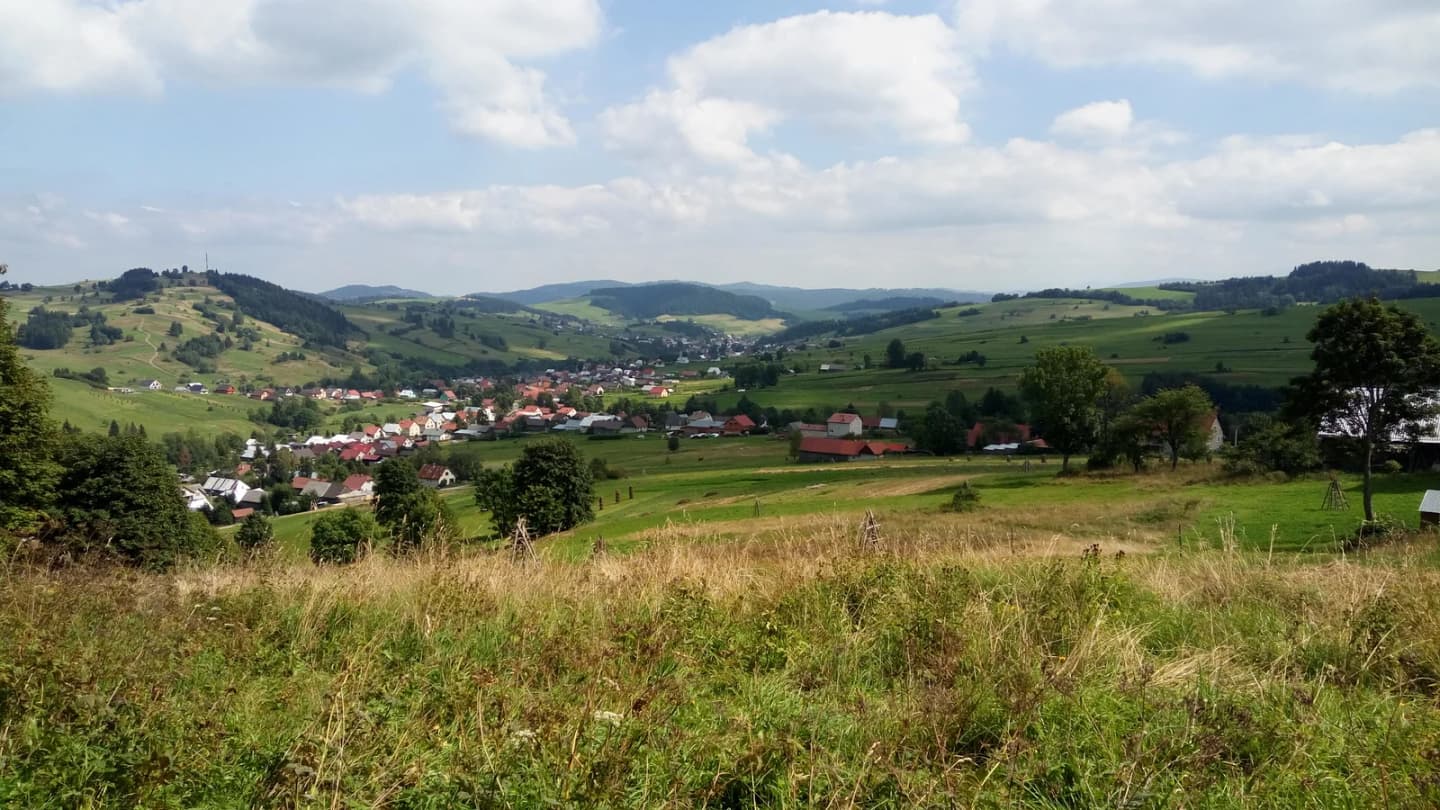Novoť